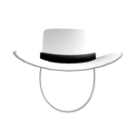 Cowboy Hat