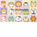 Pet Development