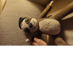 Slothys hangout