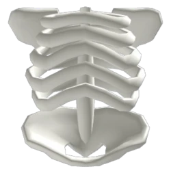 rib cage roblox