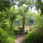 Love Our Nature