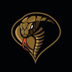 Cobra CIothing