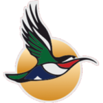 SA | Airlink