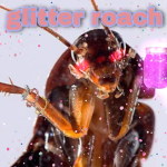 Glitter roach