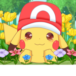 Pika pika’s Closet