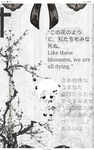 ~-{My Lil pusheens}-~