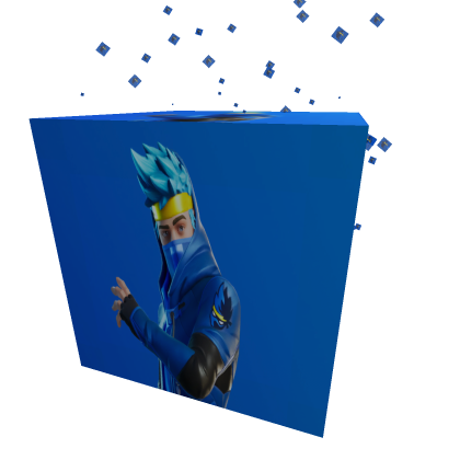 NINJA VORTEX