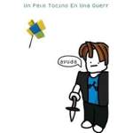 Infinity tocino