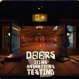 doors testing items