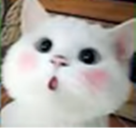 UwU queen$