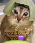 You lost vro