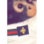 Monkey army_btw