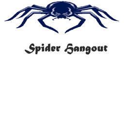 Spider Hangout