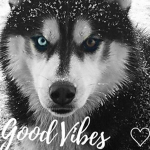 Good~Vibes