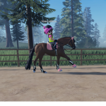 - Gracie’s equine store -
