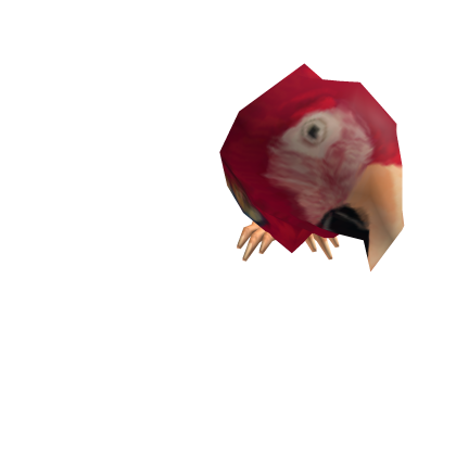 Pirate Parrot
