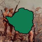 The Bush War