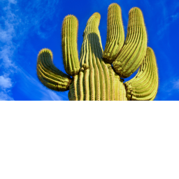 67