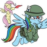 R.P.A (Robloxian Pony Alliance)