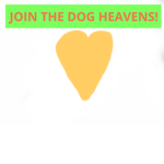 THE DOG HEAVENS
