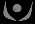 lunar  team