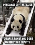 realy random stuff