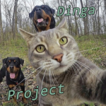 Dinga Project