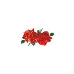 Roses & Thorns