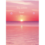 •Sunset group• -Official-