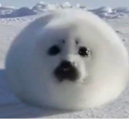 ULTIMATE SEAL TYCOON