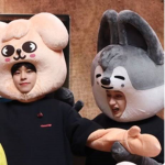 *.-Stray Kids-.*