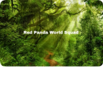 Red Panda World Squad