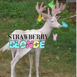 STRAWB33RY BL0NDE