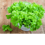 Lettuce City!
