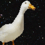 ducc clubb