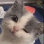 Diâry