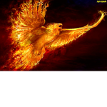 Flaming Phoenix Fans