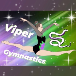 Viper Gymnastics