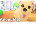 Fan de adopt me..