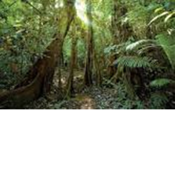 Exploring Simulator [Happy July The 4th!]