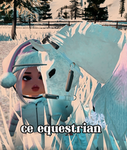 *.. CE EQUESTRIAN ..*