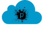Pyvin Inc