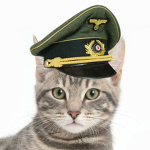 Catsociety