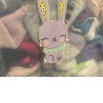 Cookies bunny group
