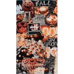fins pumpkin patch