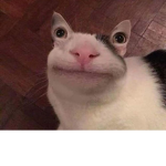 mēmē gang