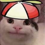 The beluga .jr group