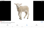 lamb's friend group