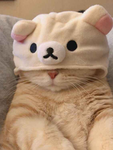 ʟʏʀᴀꜱ ᴀɴɢᴇʟꜱ<3