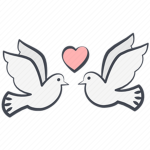 lovely doves!~